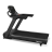 Bronze Gym   - V-SPORT   ARMSSPORT