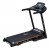 Royal Fitness   - V-SPORT   ARMSSPORT