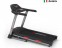 FITEGOSMART   - V-SPORT   ARMSSPORT