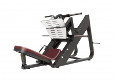     45     Protrain BPL156   vasil-gym - V-SPORT   ARMSSPORT