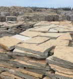 ���������� ��������� ����� ���������� ���������� - V-SPORT ��������� ���� ARMSSPORT