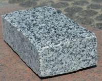 ��������� ������ �������� ���������� - V-SPORT ��������� ���� ARMSSPORT