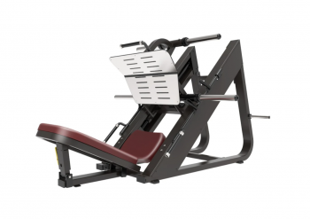 ��� ������ ��� ����� 45 �������� �� ��������� ����� Protrain BPL156 ���������������� �������� vasil-gym - V-SPORT ��������� ���� ARMSSPORT