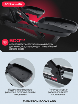 ������������� �������� �������� SVENSSON BODY LABS FORGE �� ������� ��������� - V-SPORT ��������� ���� ARMSSPORT