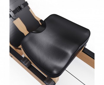 ������� �������� DFC GTGYM Frank �������� ����������� - V-SPORT ��������� ���� ARMSSPORT