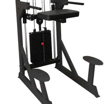 ��������� ���������������� BRONZE GYM PARTNER ML-701 ��������� - V-SPORT ��������� ���� ARMSSPORT