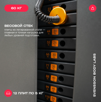 ������� �������� ���������������� SVENSSON BODY LABS RIGEL PLUS PRO ����� - V-SPORT ��������� ���� ARMSSPORT