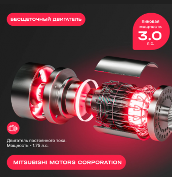 ������� ������� �������� SVENSSON BODY LABS EMPOWER ����������� - V-SPORT ��������� ���� ARMSSPORT