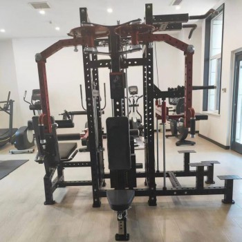 ���������������� ������� �������� ������������� 4-� ����������� Gymmaster EK120 �������� �������� - V-SPORT ��������� ���� ARMSSPORT